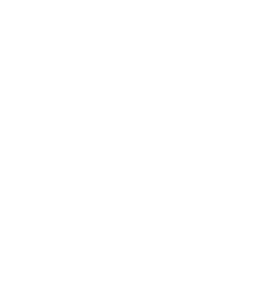 IDT logo